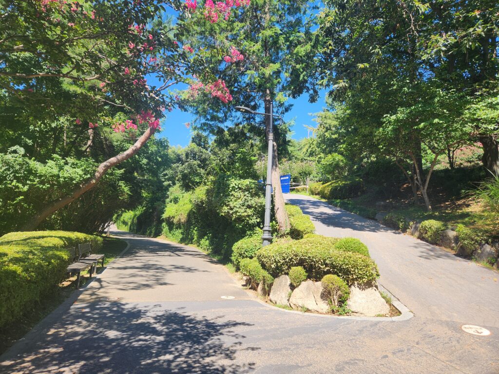 kakaotalk 20251208 100624193 17